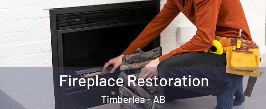  Fireplace Restoration Timberlea - AB