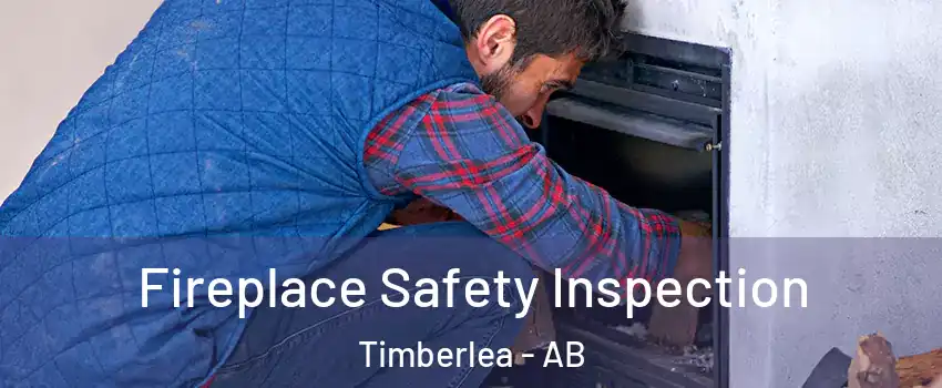  Fireplace Safety Inspection Timberlea - AB
