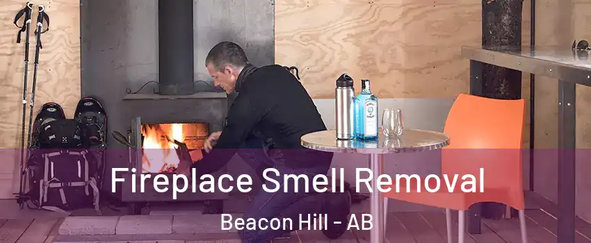 Fireplace Smell Removal Beacon Hill - AB