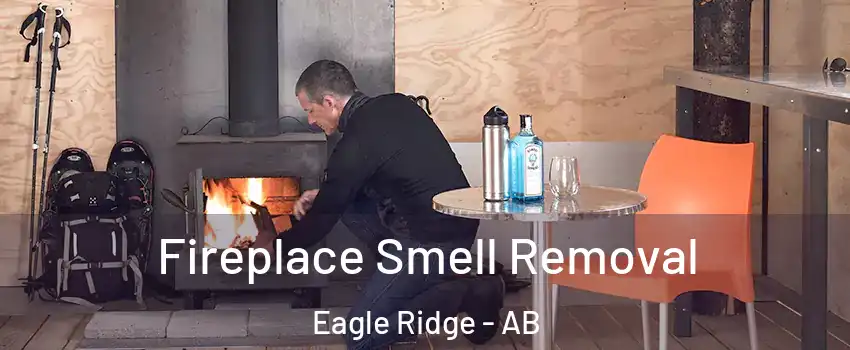  Fireplace Smell Removal Eagle Ridge - AB
