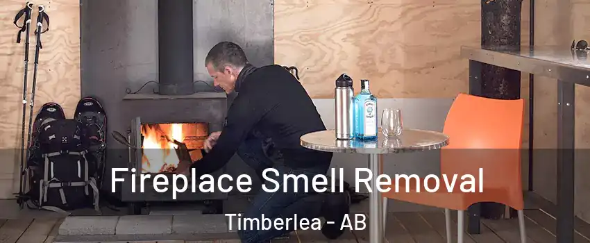  Fireplace Smell Removal Timberlea - AB