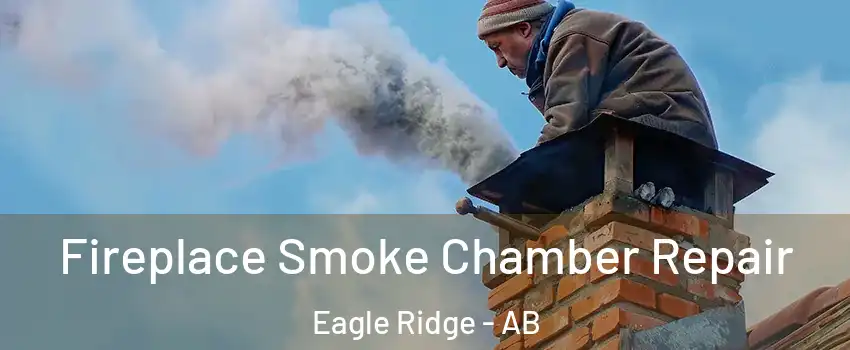  Fireplace Smoke Chamber Repair Eagle Ridge - AB