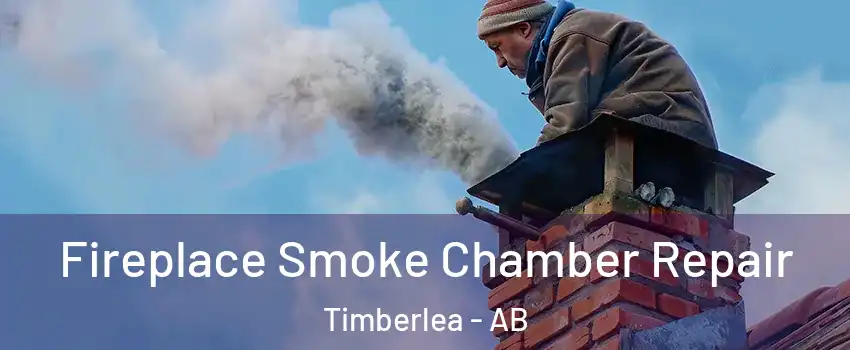  Fireplace Smoke Chamber Repair Timberlea - AB