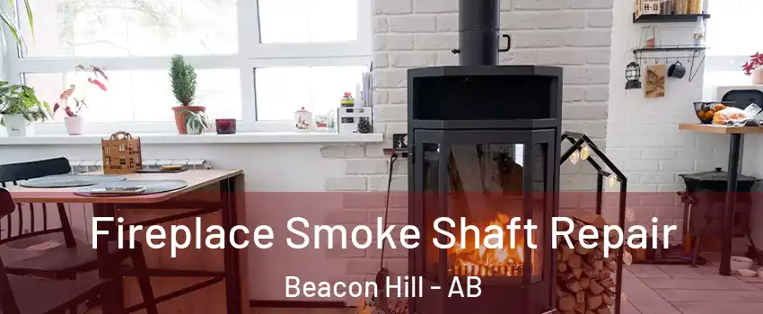  Fireplace Smoke Shaft Repair Beacon Hill - AB