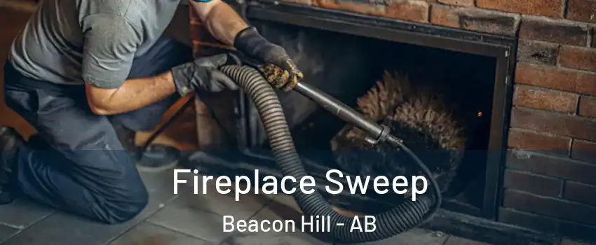  Fireplace Sweep Beacon Hill - AB