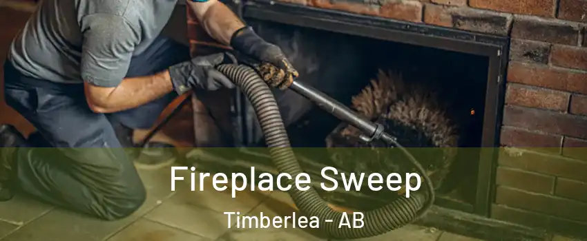  Fireplace Sweep Timberlea - AB