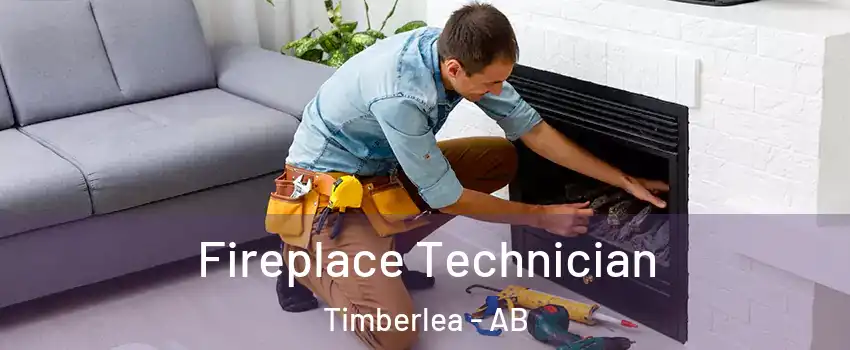  Fireplace Technician Timberlea - AB