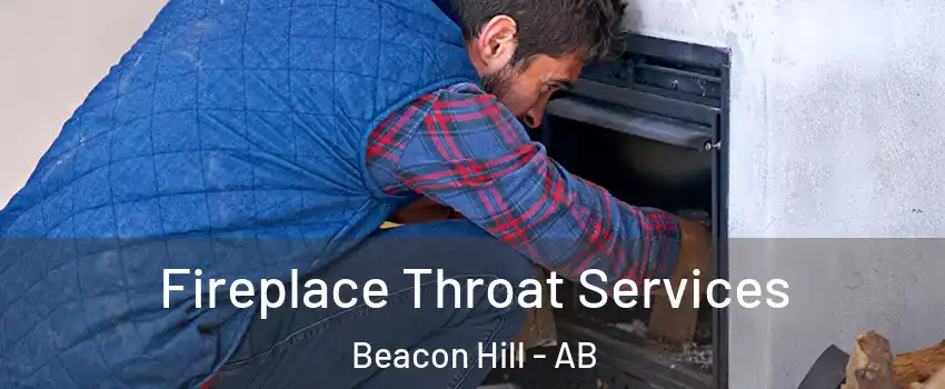  Fireplace Throat Services Beacon Hill - AB