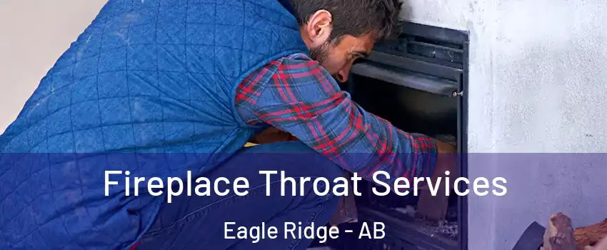  Fireplace Throat Services Eagle Ridge - AB