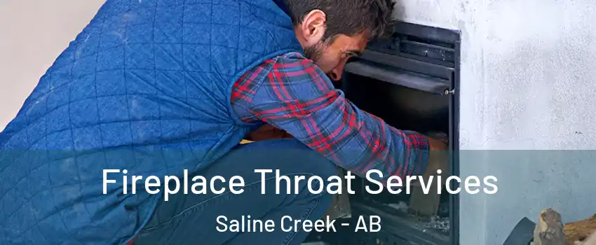  Fireplace Throat Services Saline Creek - AB