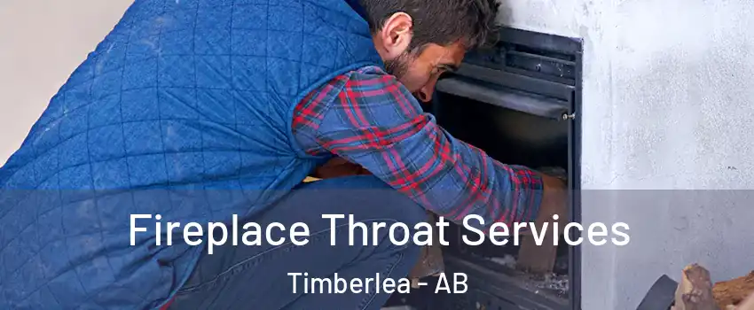  Fireplace Throat Services Timberlea - AB