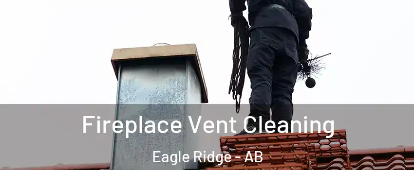  Fireplace Vent Cleaning Eagle Ridge - AB