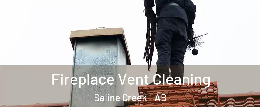  Fireplace Vent Cleaning Saline Creek - AB