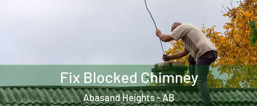  Fix Blocked Chimney Abasand Heights - AB