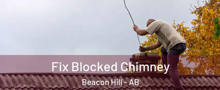 Fix Blocked Chimney Beacon Hill - AB