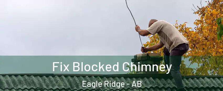  Fix Blocked Chimney Eagle Ridge - AB