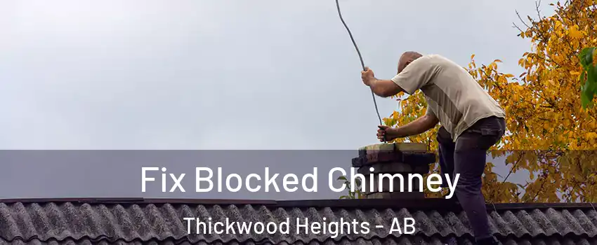  Fix Blocked Chimney Thickwood Heights - AB