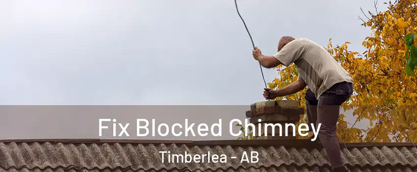  Fix Blocked Chimney Timberlea - AB