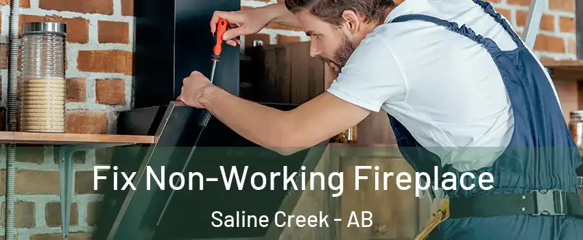  Fix Non-Working Fireplace Saline Creek - AB