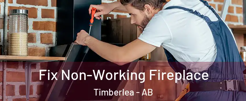  Fix Non-Working Fireplace Timberlea - AB