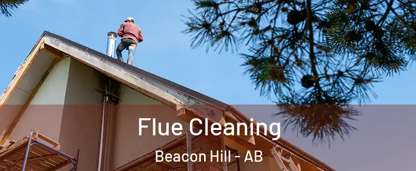  Flue Cleaning Beacon Hill - AB