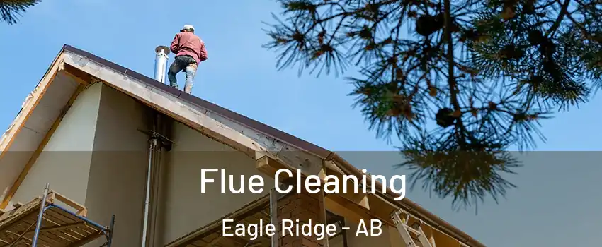  Flue Cleaning Eagle Ridge - AB