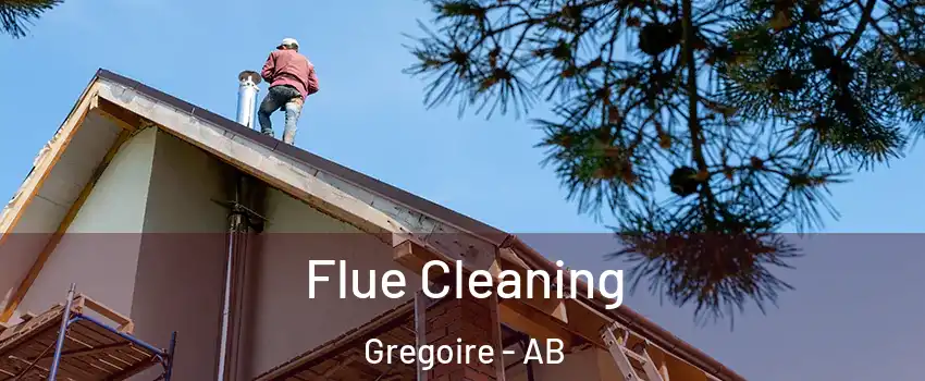  Flue Cleaning Gregoire - AB