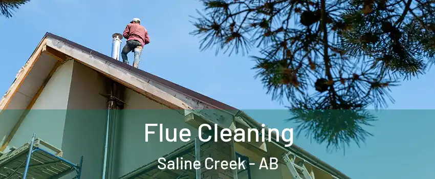  Flue Cleaning Saline Creek - AB