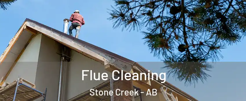  Flue Cleaning Stone Creek - AB