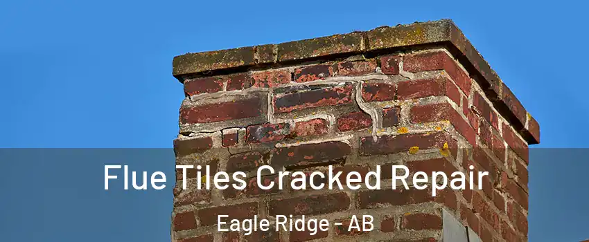  Flue Tiles Cracked Repair Eagle Ridge - AB