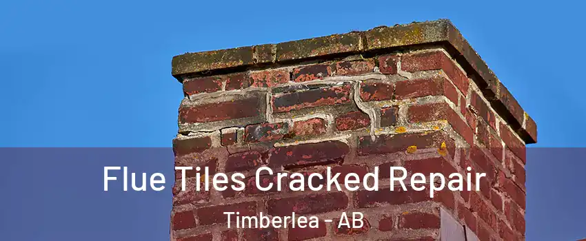  Flue Tiles Cracked Repair Timberlea - AB