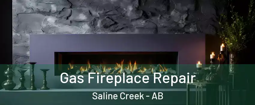  Gas Fireplace Repair Saline Creek - AB