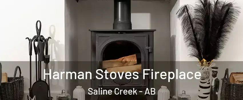  Harman Stoves Fireplace Saline Creek - AB