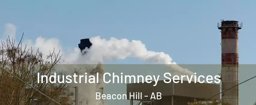  Industrial Chimney Services Beacon Hill - AB