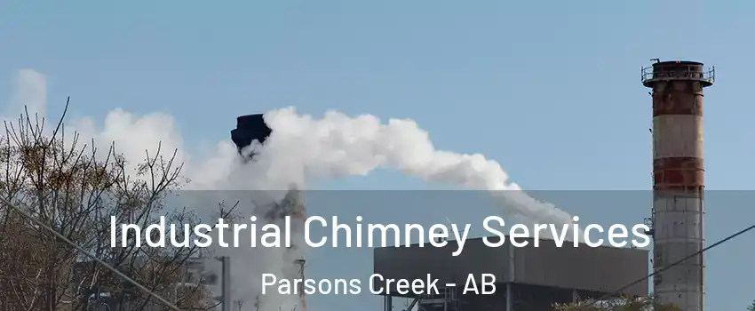  Industrial Chimney Services Parsons Creek - AB