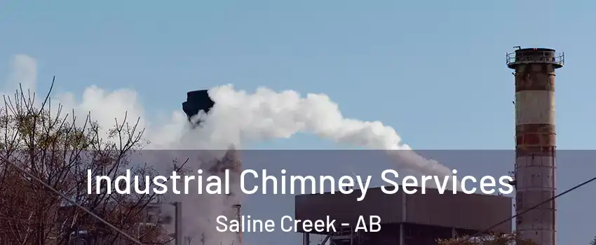  Industrial Chimney Services Saline Creek - AB