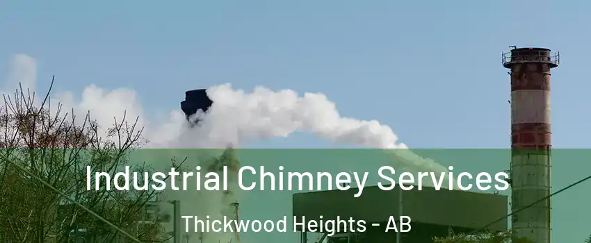  Industrial Chimney Services Thickwood Heights - AB