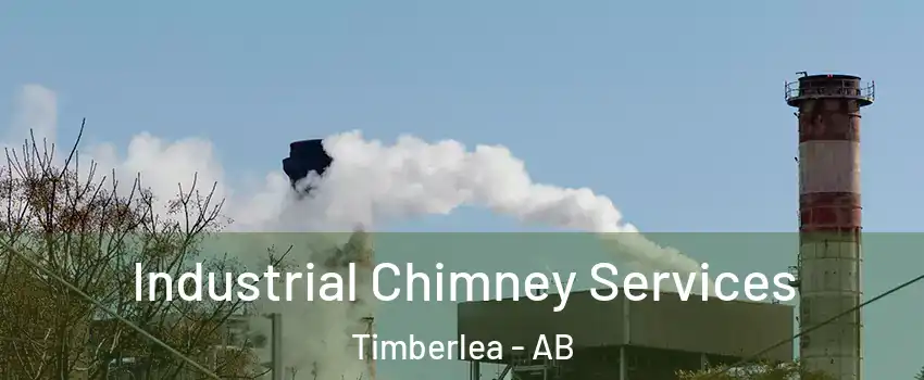  Industrial Chimney Services Timberlea - AB
