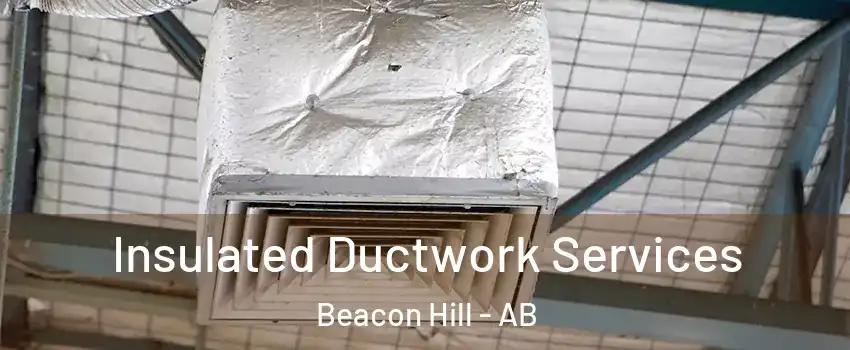  Insulated Ductwork Services Beacon Hill - AB