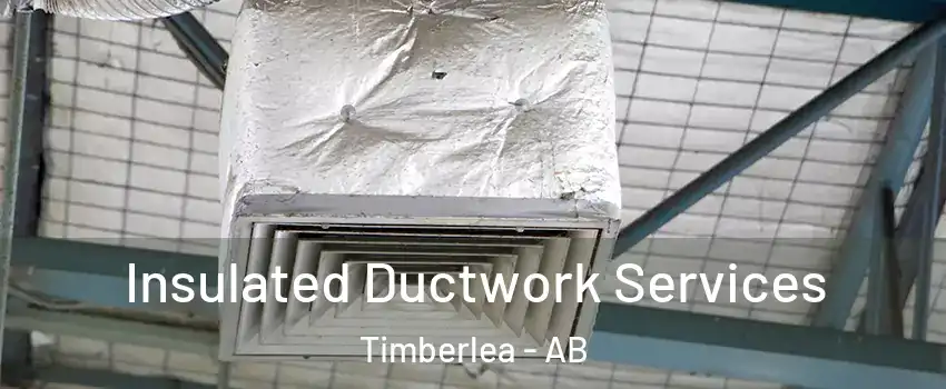  Insulated Ductwork Services Timberlea - AB