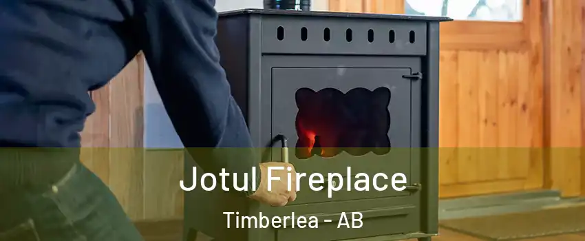  Jotul Fireplace Timberlea - AB