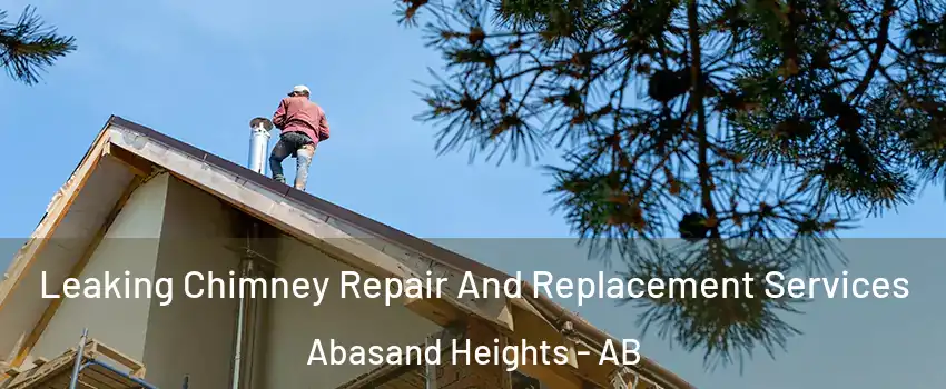  Leaking Chimney Repair And Replacement Services Abasand Heights - AB