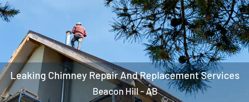  Leaking Chimney Repair And Replacement Services Beacon Hill - AB
