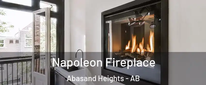  Napoleon Fireplace Abasand Heights - AB