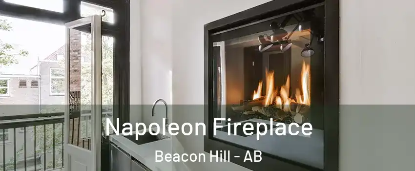 Napoleon Fireplace Beacon Hill - AB