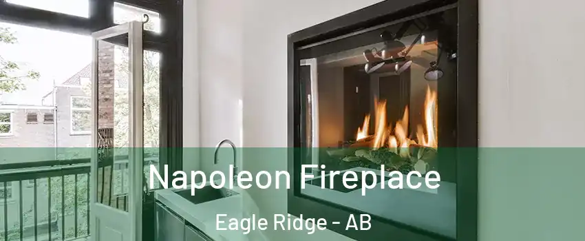  Napoleon Fireplace Eagle Ridge - AB