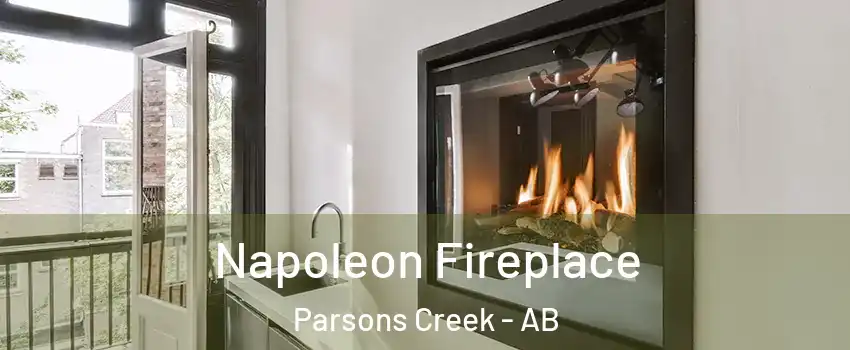  Napoleon Fireplace Parsons Creek - AB