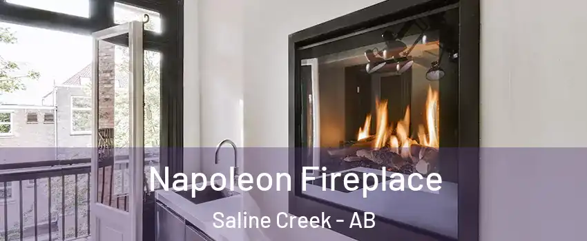  Napoleon Fireplace Saline Creek - AB