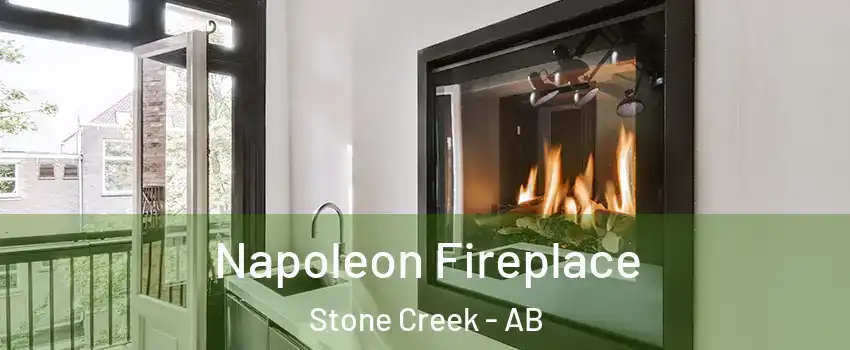  Napoleon Fireplace Stone Creek - AB