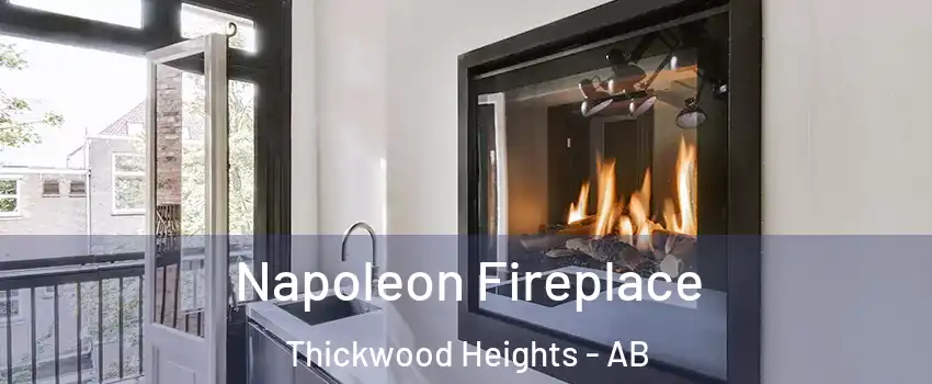  Napoleon Fireplace Thickwood Heights - AB